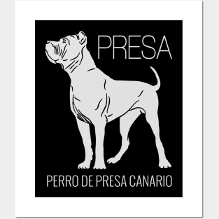 Perro de Presa Canario - Dogo Canario Posters and Art